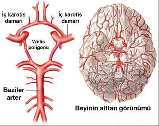 Beyin Damar Tıkanıklığı İlaçları Kullanımı ve Faydaları Nelerdir?