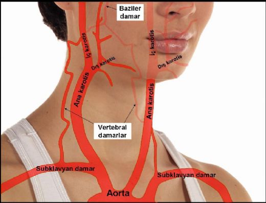 Kötü kan dolaşımı: nedenleri, belirtileri, sonuçları. Serebral dolaşım bozuklukları: semptomlar ve tedavi Kötü kan dolaşımı: nedenleri, belirtileri, sonuçları. Serebral dolaşım bozuklukları: semptomlar ve tedavi
