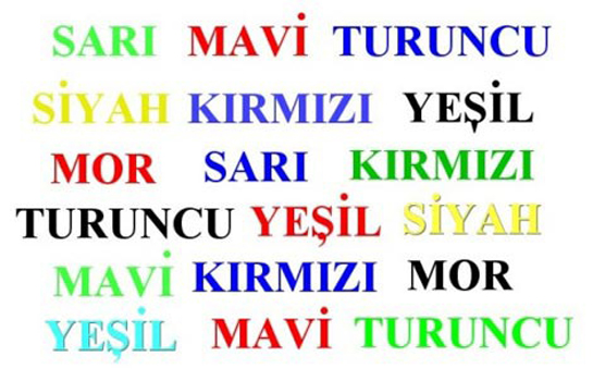 Beyin Jimnastiği Nedir ve Nasıl Yapılır?